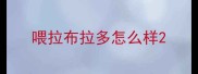 喂拉布拉多怎么样