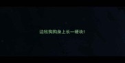 边牧狗狗身上长一硬块
