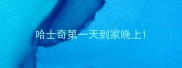 哈士奇第一天到家晚上