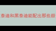 红泰迪和黑泰迪能配出那些颜色
