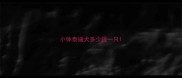小体泰迪犬多少钱一只