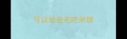 可以给金毛吃米饭
