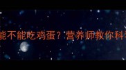拉布拉多犬能不能吃鸡蛋营养师教你科学喂养全攻略