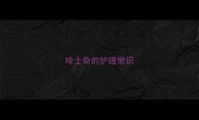 哈士奇的护理常识