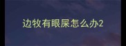 边牧有眼屎怎么办