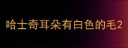 哈士奇耳朵有白色的毛