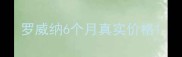 罗威纳6个月真实价格
