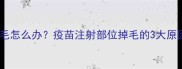 狗狗接种疫苗后掉毛怎么办疫苗注射部位掉毛的3大原因及科学护理指南