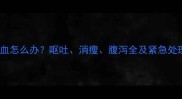 金毛便血怎么办呕吐消瘦腹泻全及紧急处理指南