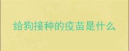给狗接种的疫苗是什么
