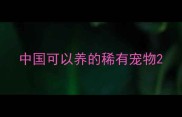 中国可以养的稀有宠物