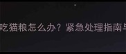 两个月大猫咪不吃猫粮怎么办紧急处理指南与科学喂养方案