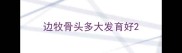 边牧骨头多大发育好