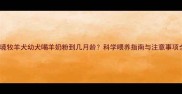 边境牧羊犬幼犬喝羊奶粉到几月龄科学喂养指南与注意事项全
