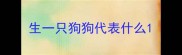 生一只狗狗代表什么