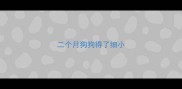 二个月狗狗得了细小