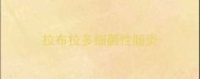 拉布拉多细菌性肠炎
