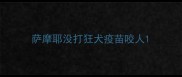 萨摩耶没打狂犬疫苗咬人