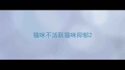 猫咪不活跃猫咪抑郁