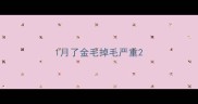 1月了金毛掉毛严重