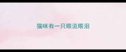猫咪有一只眼流眼泪