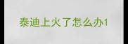 泰迪上火了怎么办