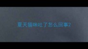 夏天猫咪吐了怎么回事