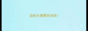 边牧大便黑色球状