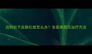 边牧肚子皮肤红斑怎么办全面原因与治疗方法