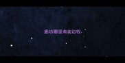 廊坊哪里有卖边牧
