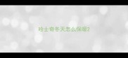 哈士奇冬天怎么保暖