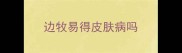边牧易得皮肤病吗