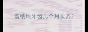 雪纳瑞牙齿几个月长齐
