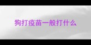 狗打疫苗一般打什么
