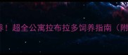 小户型也能养超全公寓拉布拉多饲养指南附避坑清单