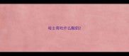 哈士奇吃什么酸奶