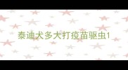 泰迪犬多大打疫苗驱虫