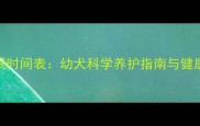 柯基6个月睡眠时间表幼犬科学养护指南与健康发育关键期