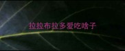 拉拉布拉多爱吃啥子