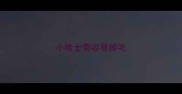 小哈士奇容易掉毛