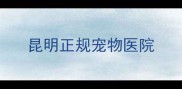 昆明正规宠物医院