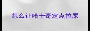 怎么让哈士奇定点拉屎