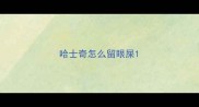 哈士奇怎么留眼屎