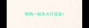 狗狗一般多大打疫苗