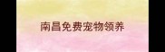 南昌免费宠物领养