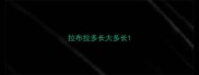 拉布拉多长大多长