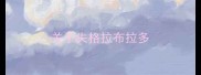 关于失格拉布拉多