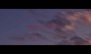 狗狗为什么一直舔我手
