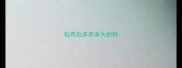 拉布拉多养多大的好