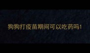 狗狗打疫苗期间可以吃药吗